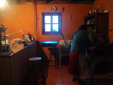 2010 mikas (5)