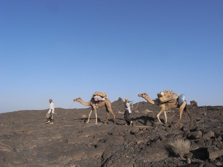 Ethiopia⑩