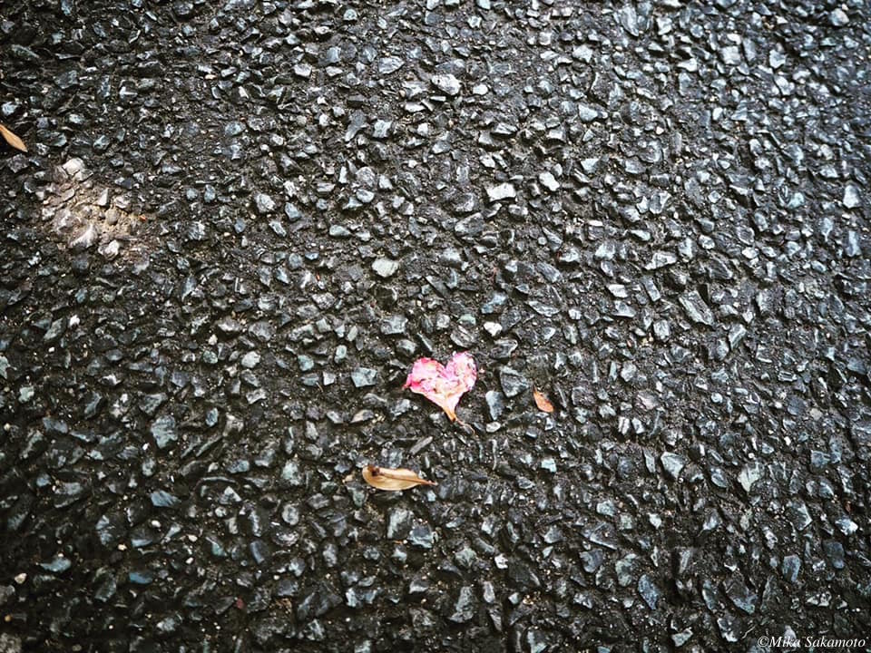 夏越の大祓