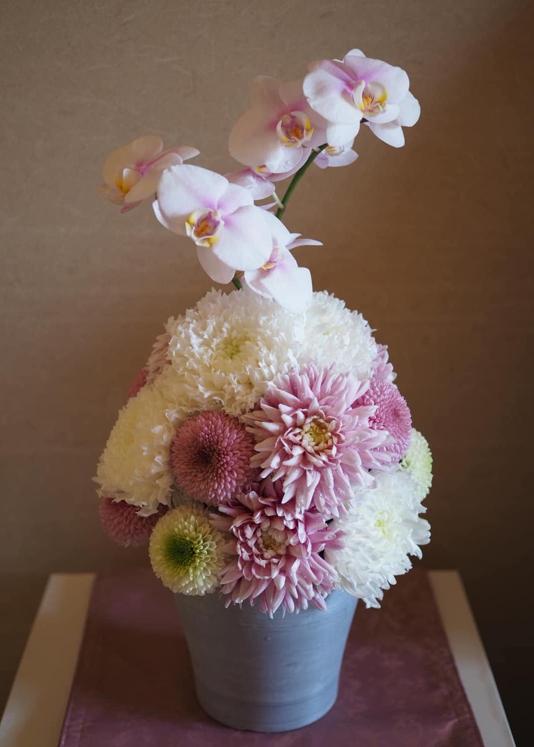 菊玉